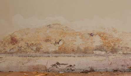 rising-damp