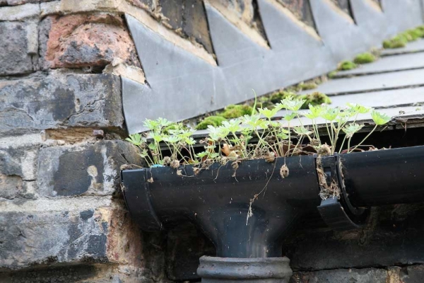 blocked-guttering