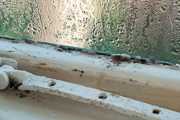 condensation-and-mould-on-window